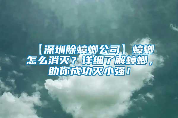 【深圳除蟑螂公司】蟑螂怎么消滅？詳細了解蟑螂，助你成功滅小強！