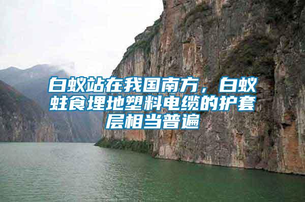 白蟻站在我國南方，白蟻蛀食埋地塑料電纜的護(hù)套層相當(dāng)普遍