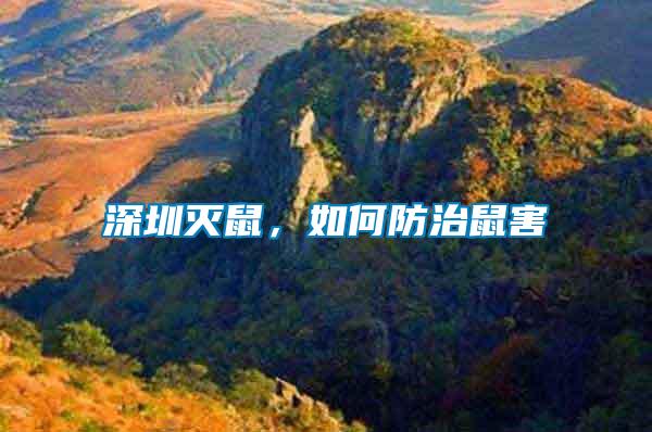 深圳滅鼠，如何防治鼠害