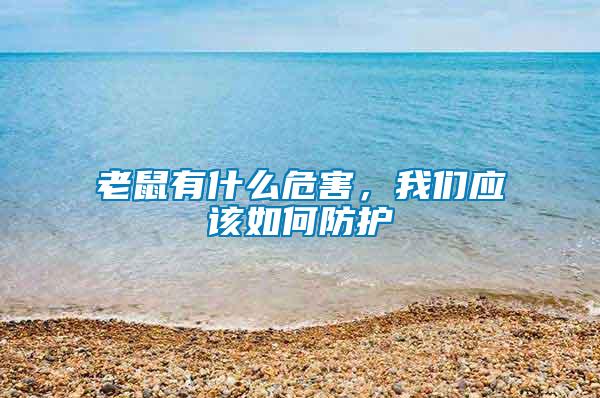老鼠有什么危害，我們應(yīng)該如何防護