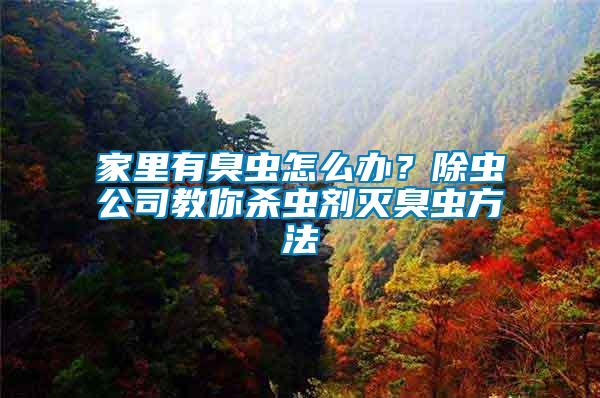 家里有臭蟲怎么辦？除蟲公司教你殺蟲劑滅臭蟲方法