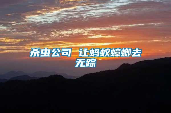殺蟲(chóng)公司 讓螞蟻蟑螂去無(wú)蹤