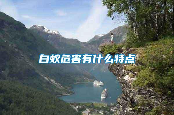 白蟻危害有什么特點(diǎn)