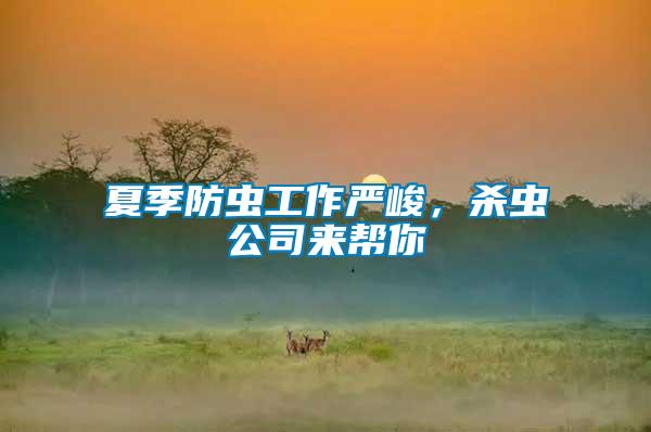 夏季防蟲工作嚴(yán)峻，殺蟲公司來幫你