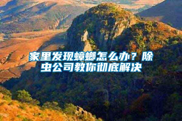 家里發(fā)現(xiàn)蟑螂怎么辦？除蟲(chóng)公司教你徹底解決