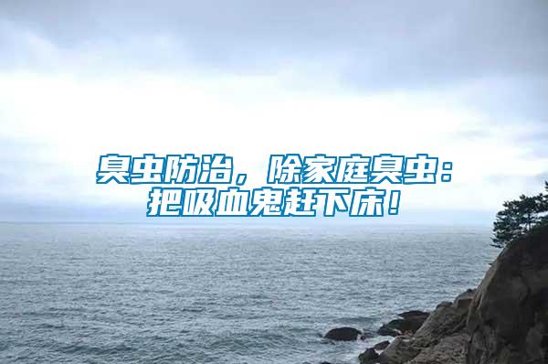 臭蟲防治，除家庭臭蟲：把吸血鬼趕下床！