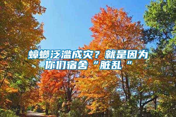 蟑螂泛濫成災(zāi)？就是因?yàn)槟銈兯奚帷芭K亂“