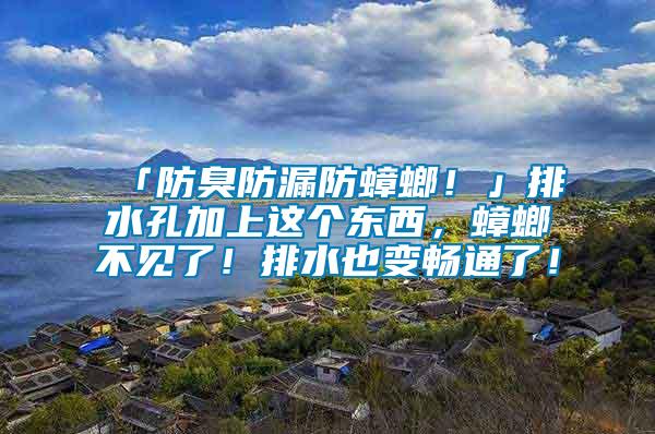 「防臭防漏防蟑螂！」排水孔加上這個(gè)東西，蟑螂不見了！排水也變暢通了！