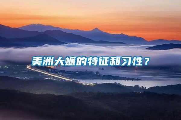 美洲大蠊的特征和習(xí)性？