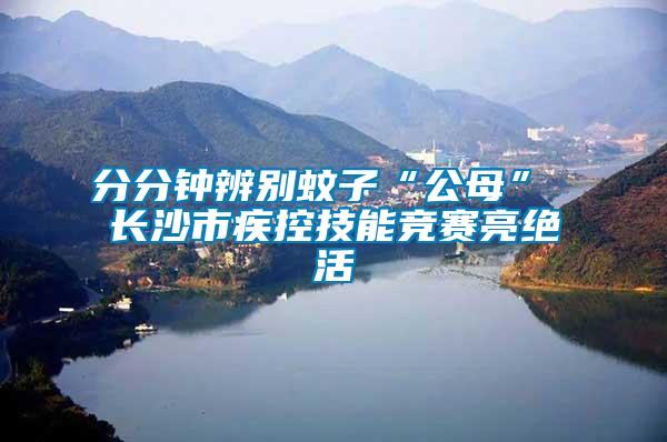 分分鐘辨別蚊子“公母” 長(zhǎng)沙市疾控技能競(jìng)賽亮絕活