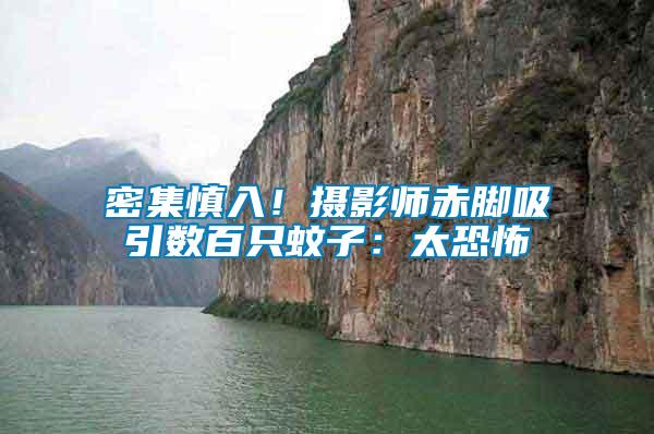 密集慎入！攝影師赤腳吸引數(shù)百只蚊子：太恐怖