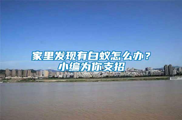 家里發(fā)現(xiàn)有白蟻怎么辦？小編為你支招