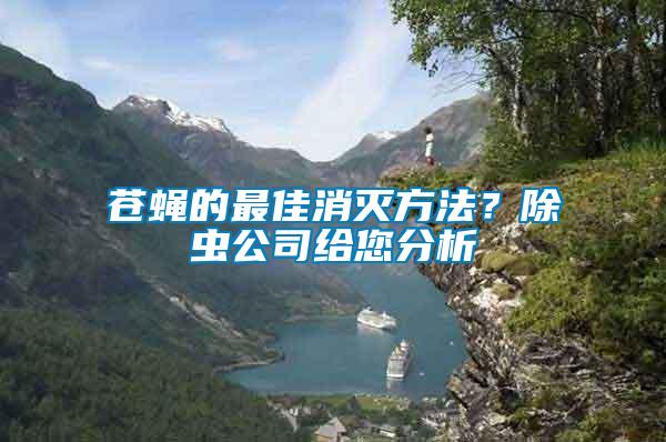 蒼蠅的最佳消滅方法？除蟲公司給您分析