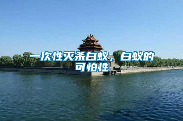 一次性滅殺白蟻，白蟻的可怕性