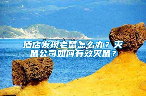 酒店發(fā)現(xiàn)老鼠怎么辦？滅鼠公司如何有效滅鼠？