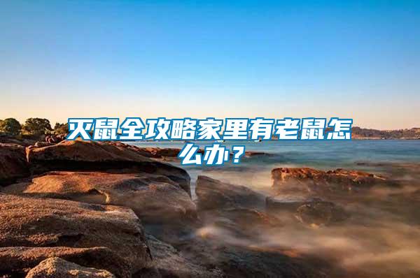 滅鼠全攻略家里有老鼠怎么辦？