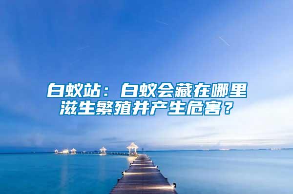 白蟻站：白蟻會(huì)藏在哪里滋生繁殖并產(chǎn)生危害？