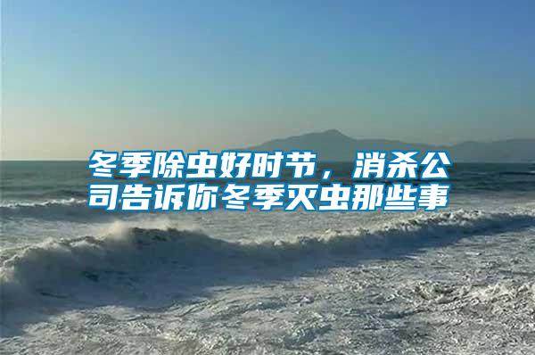 冬季除蟲好時(shí)節(jié)，消殺公司告訴你冬季滅蟲那些事