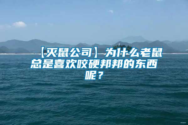 【滅鼠公司】為什么老鼠總是喜歡咬硬邦邦的東西呢？