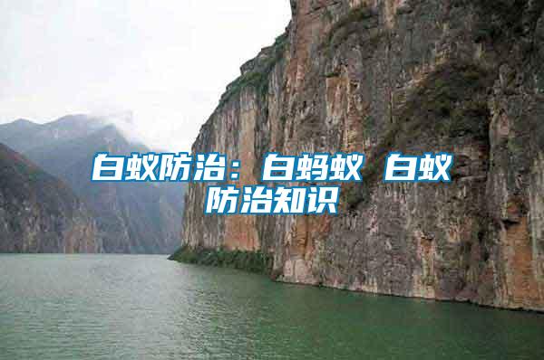白蟻防治：白螞蟻 白蟻防治知識(shí)