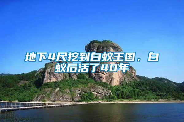 地下4尺挖到白蟻王國，白蟻后活了40年