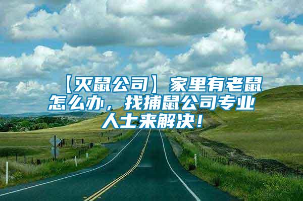 【滅鼠公司】家里有老鼠怎么辦，找捕鼠公司專業(yè)人士來解決！