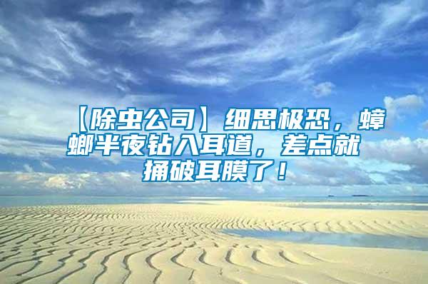 【除蟲公司】細(xì)思極恐，蟑螂半夜鉆入耳道，差點(diǎn)就捅破耳膜了！