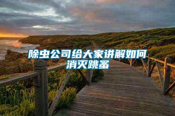 除蟲(chóng)公司給大家講解如何消滅跳蚤