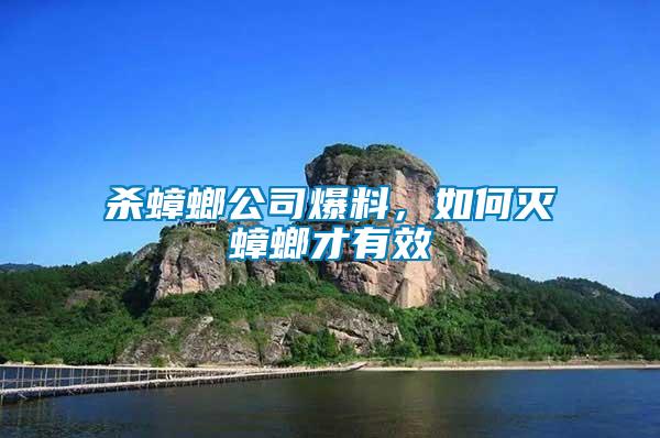 殺蟑螂公司爆料，如何滅蟑螂才有效