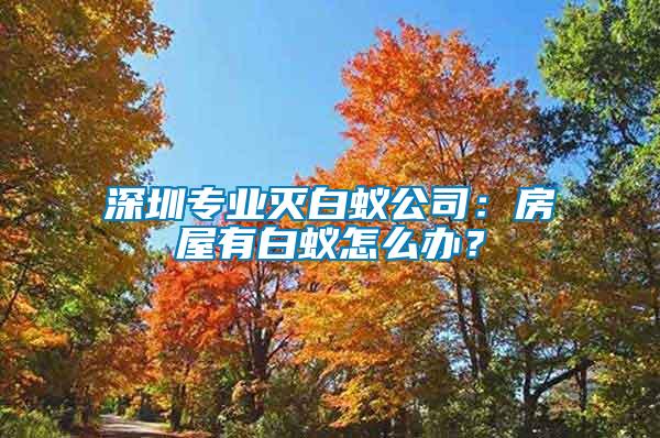 深圳專業(yè)滅白蟻公司：房屋有白蟻怎么辦？