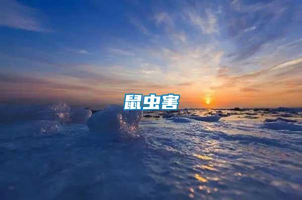 鼠蟲(chóng)害