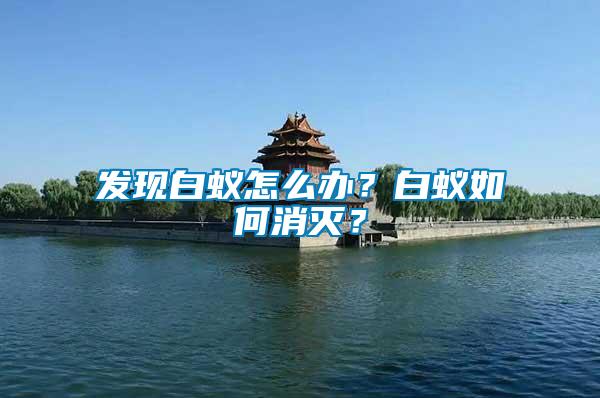 發(fā)現(xiàn)白蟻怎么辦？白蟻如何消滅？