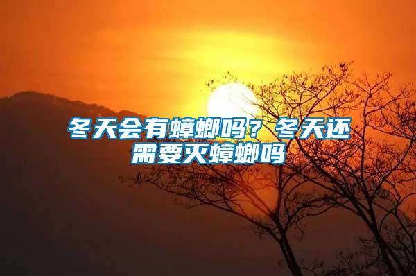 冬天會有蟑螂嗎？冬天還需要滅蟑螂嗎