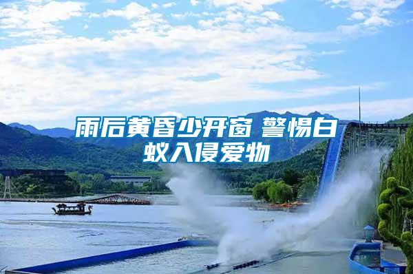雨后黃昏少開窗　警惕白蟻入侵愛物
