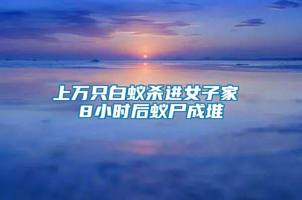 上萬只白蟻殺進女子家 8小時后蟻尸成堆