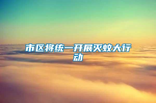 市區(qū)將統(tǒng)一開展滅蚊大行動(dòng)