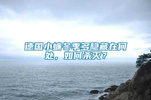 德國(guó)小蠊冬季多隱藏在何處，如何殺滅？