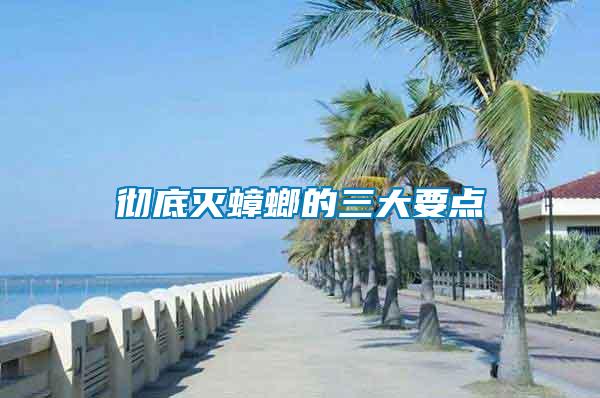 徹底滅蟑螂的三大要點(diǎn)