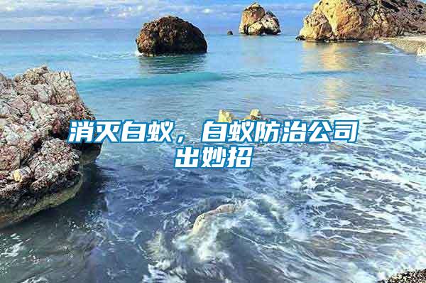 消滅白蟻，白蟻防治公司出妙招