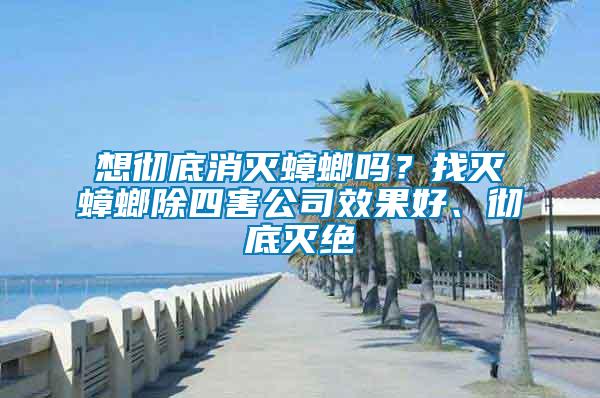 想徹底消滅蟑螂嗎？找滅蟑螂除四害公司效果好、徹底滅絕