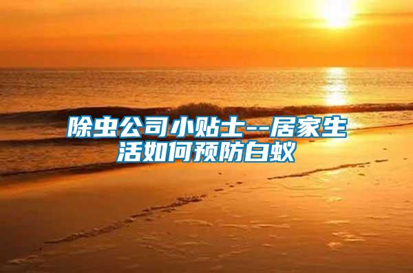 除蟲(chóng)公司小貼士--居家生活如何預(yù)防白蟻