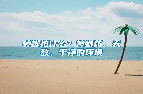 蟑螂怕什么？蟑螂藥、天敵、干凈的環(huán)境