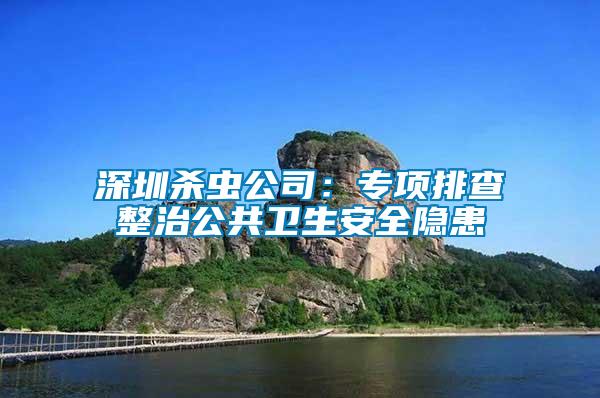 深圳殺蟲公司：專項(xiàng)排查整治公共衛(wèi)生安全隱患