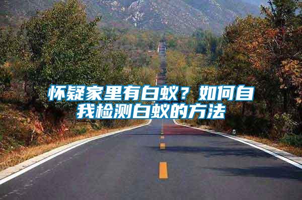 懷疑家里有白蟻？如何自我檢測白蟻的方法