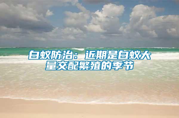 白蟻防治：近期是白蟻大量交配繁殖的季節(jié)