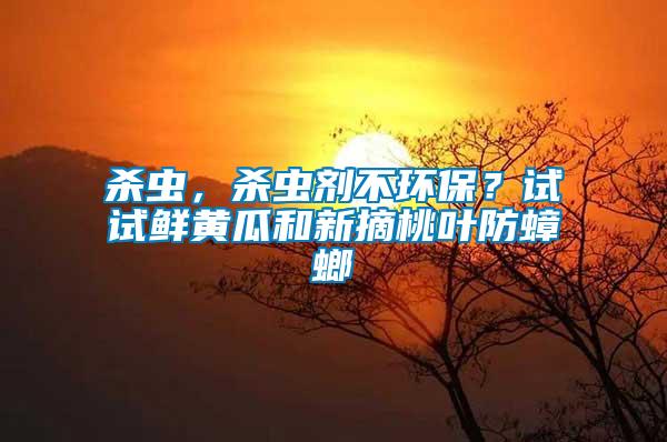 殺蟲，殺蟲劑不環(huán)保？試試鮮黃瓜和新摘桃葉防蟑螂