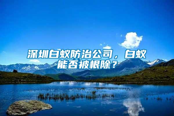 深圳白蟻防治公司，白蟻能否被根除？