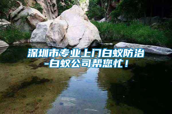 深圳市專(zhuān)業(yè)上門(mén)白蟻防治-白蟻公司幫您忙！