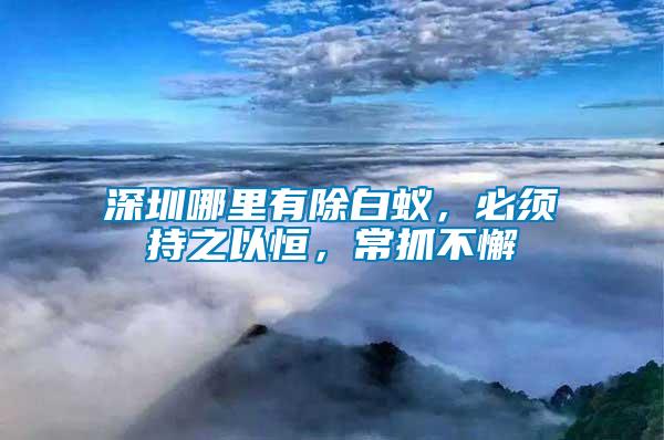 深圳哪里有除白蟻，必須持之以恒，常抓不懈