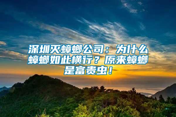 深圳滅蟑螂公司：為什么蟑螂如此橫行？原來蟑螂是富貴蟲！